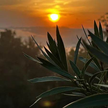 къща райкови