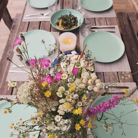 게스트하우스 къща райкови