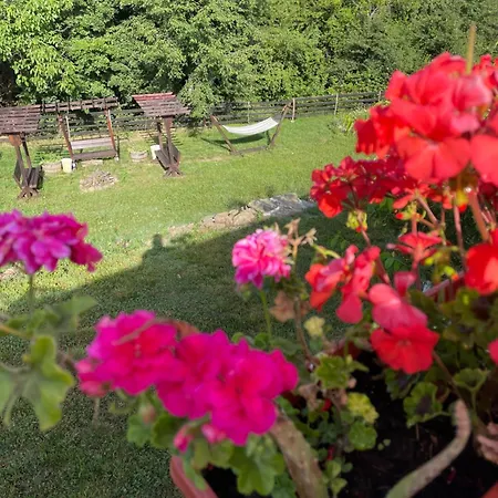 къща райкови Duskarite