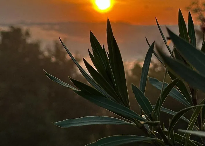 къща райкови