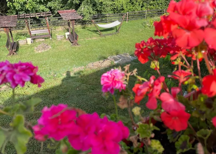 къща райкови Duskarite